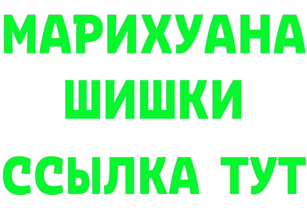 ГАШ Premium вход площадка мега Новокузнецк